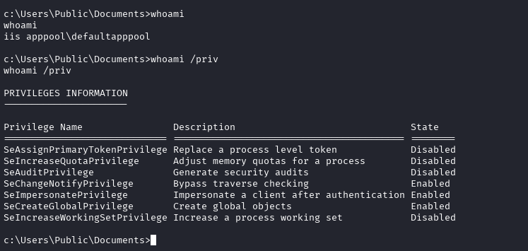 whoami command and whoami /priv command results